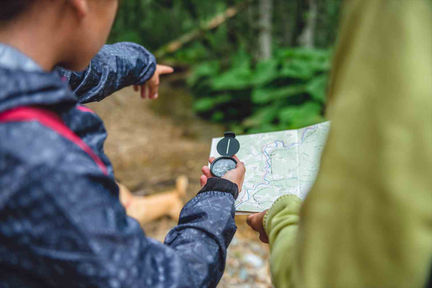 What is Scouting?