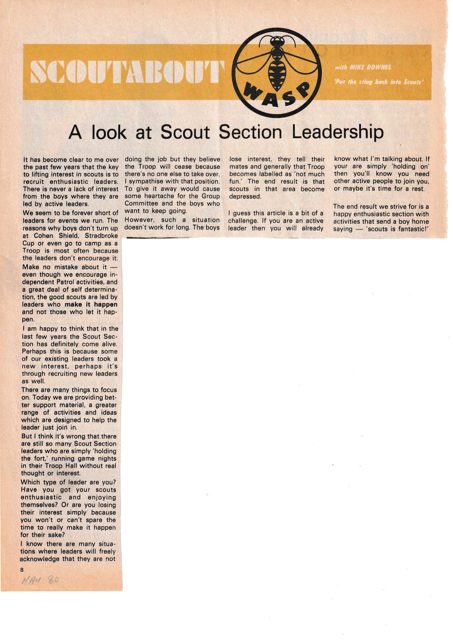 A look at Scout Section Leadership