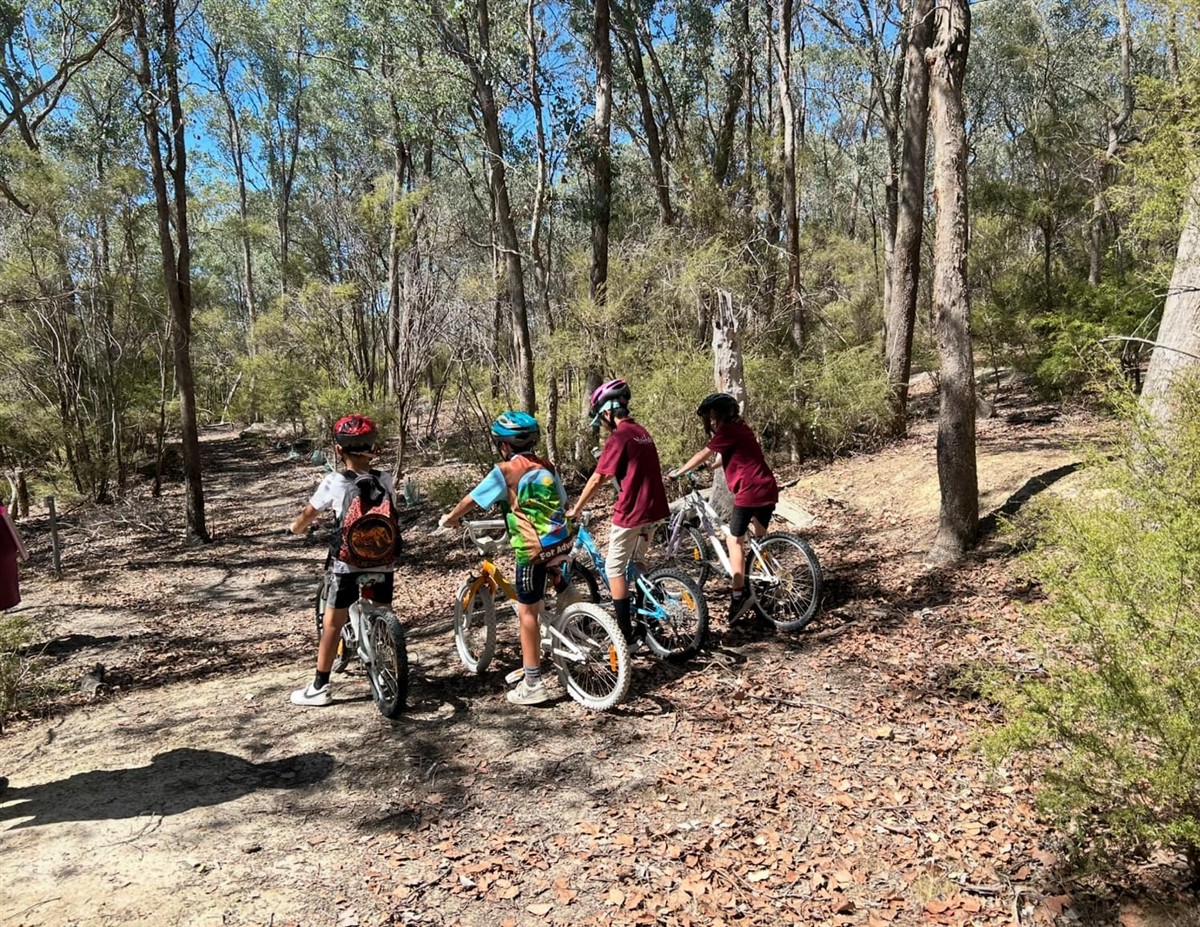 Cub Scouts tackling outdoor challenges