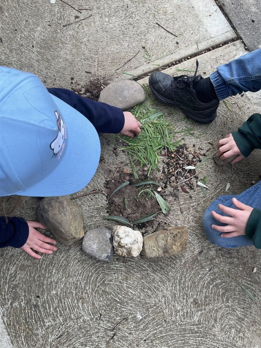 Joey Scouts exploring nature together