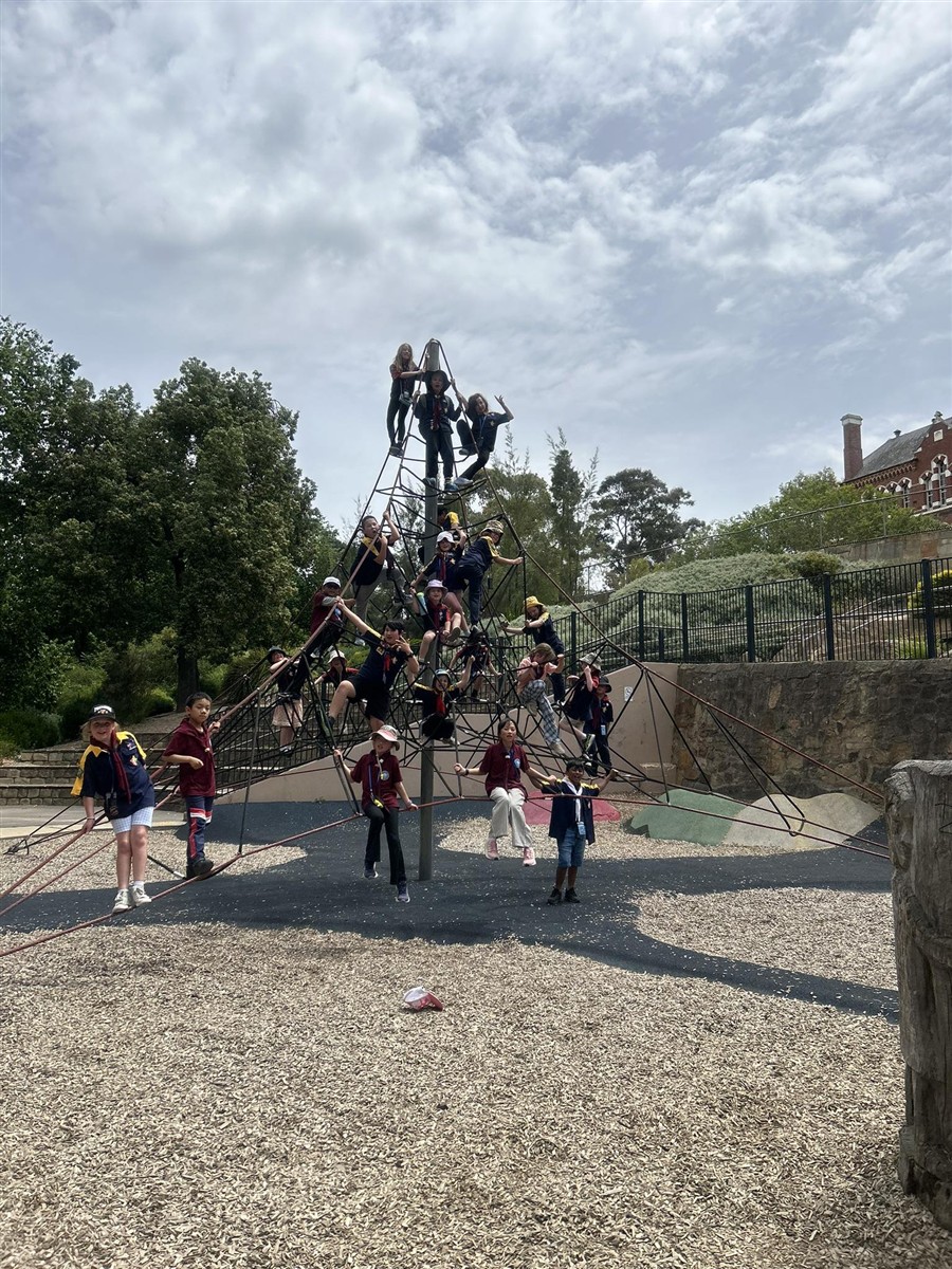 Joey Scouts participating in group activities
