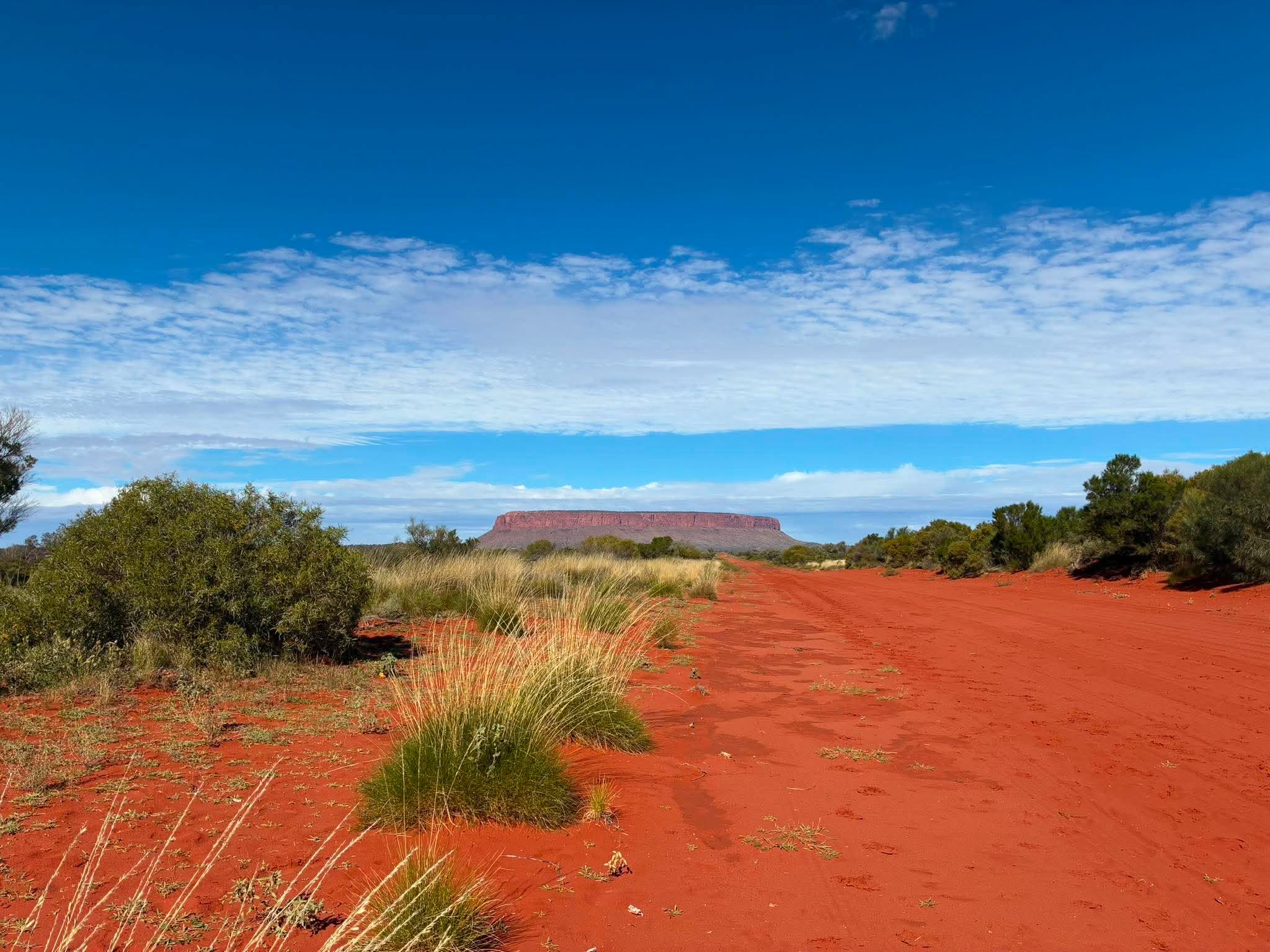 Red dirt road leading towards Kings Canyon during the Uluru expedition