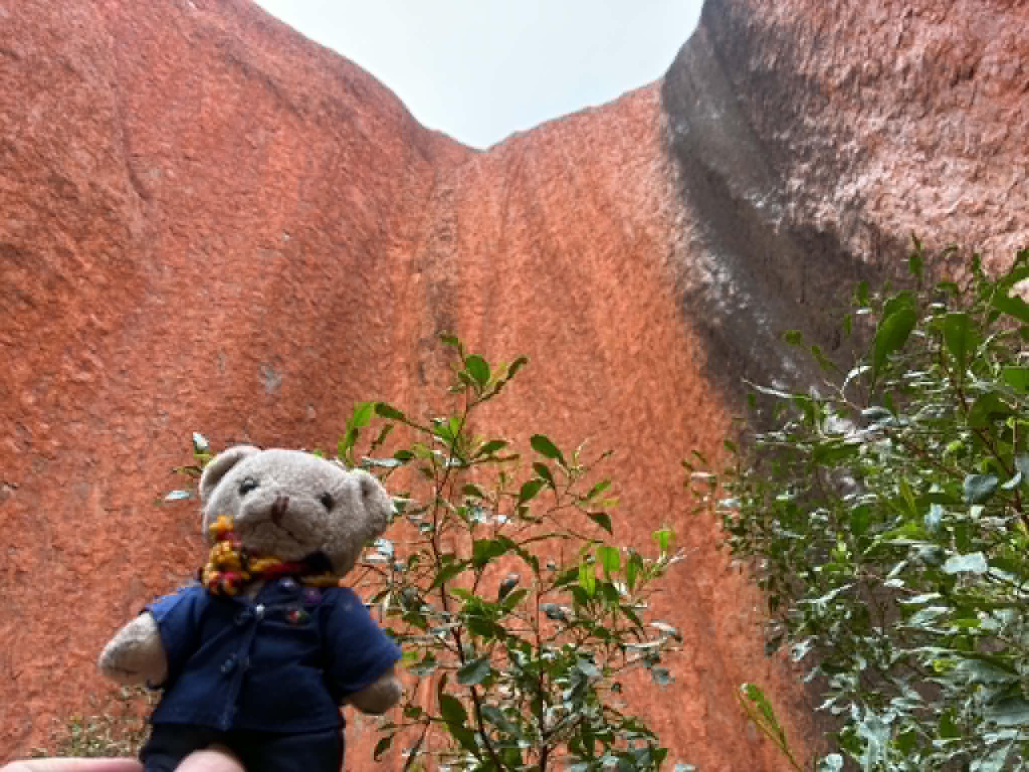 Uluru expedition mascot in front of red rock at Uluru