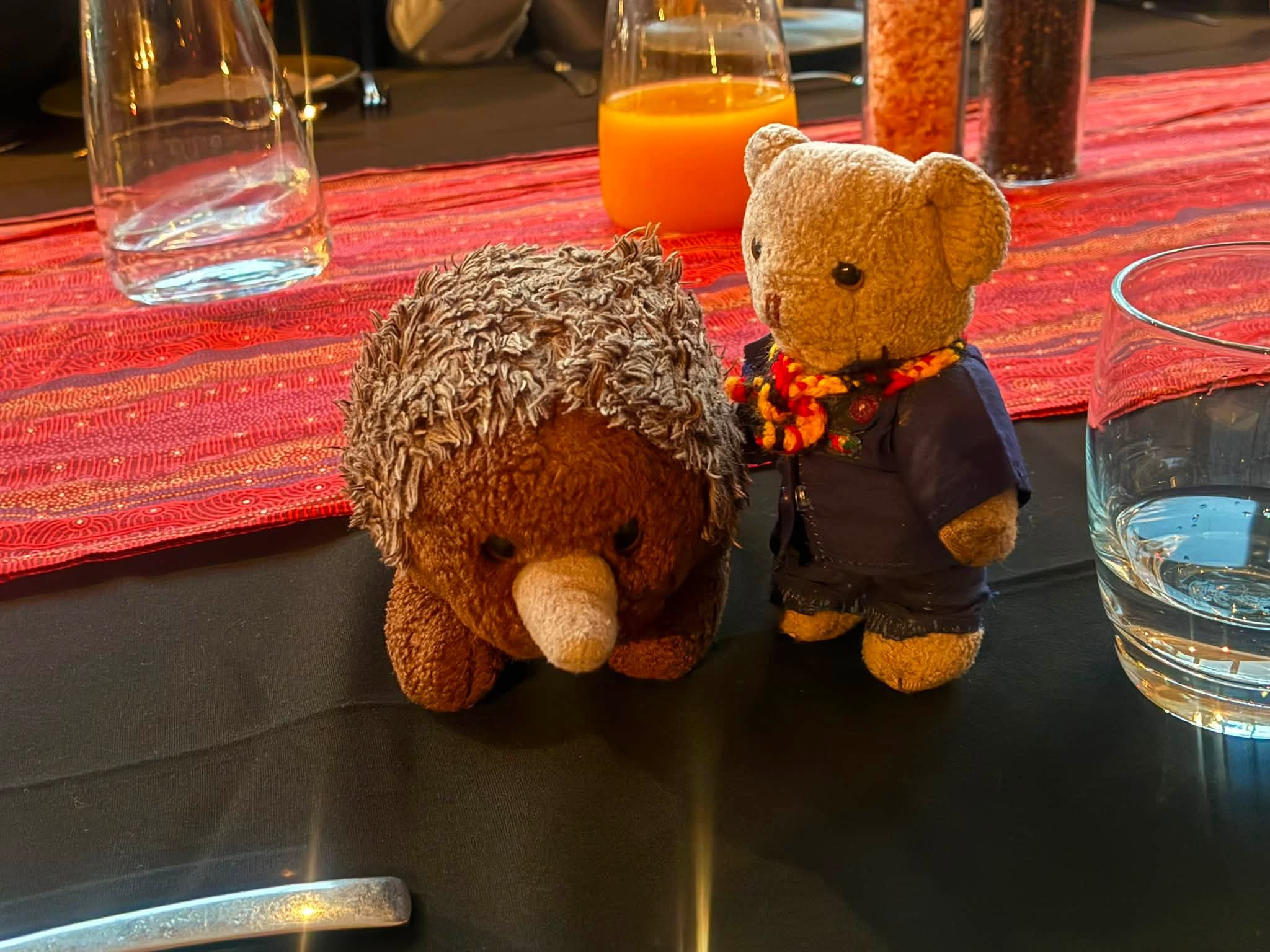 Uluru expedition mascot beside an echidna toy at dinner in Alice Springs
