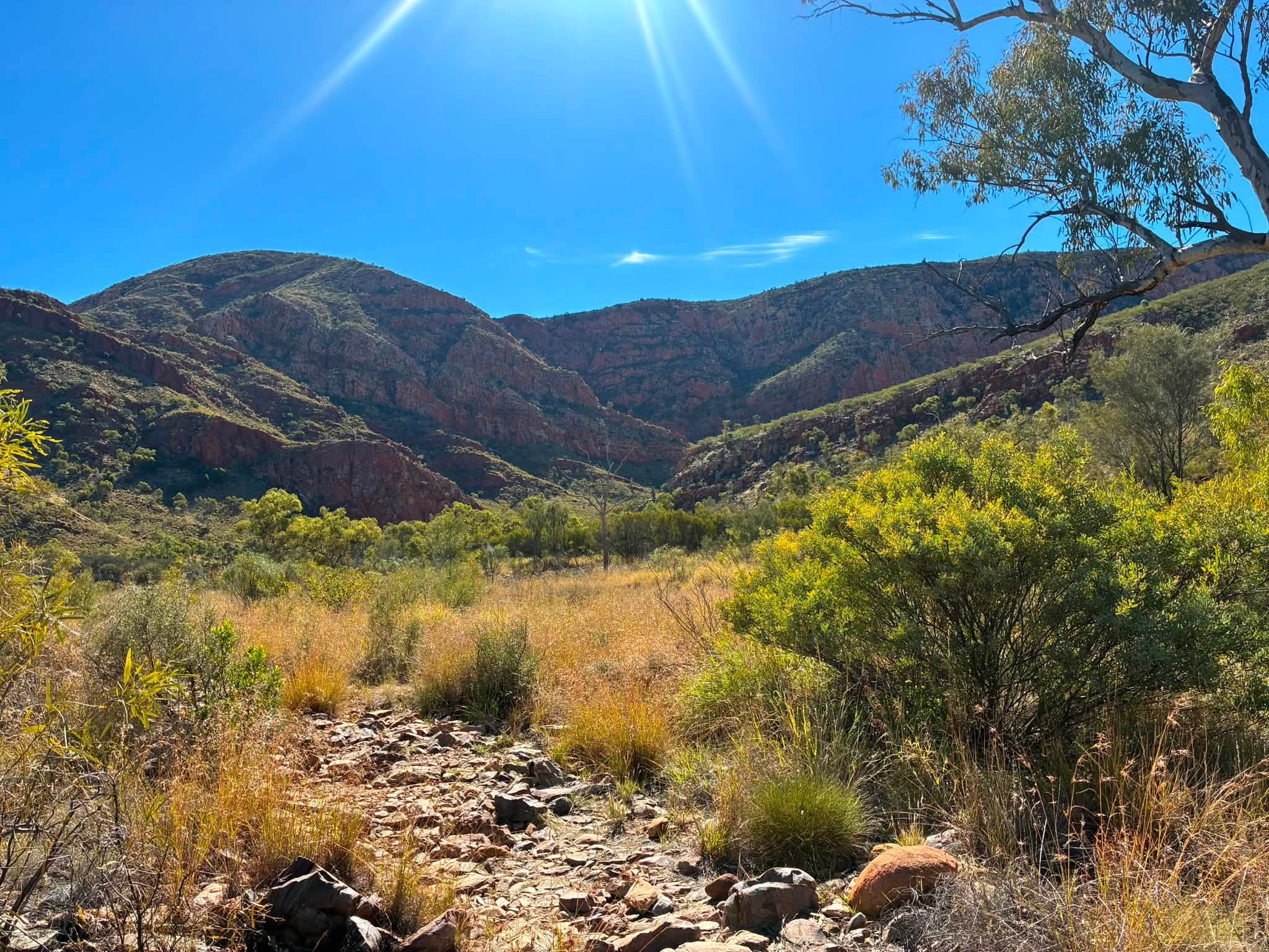 Walking track through scrub and red hills in the West MacDonnell Ranges